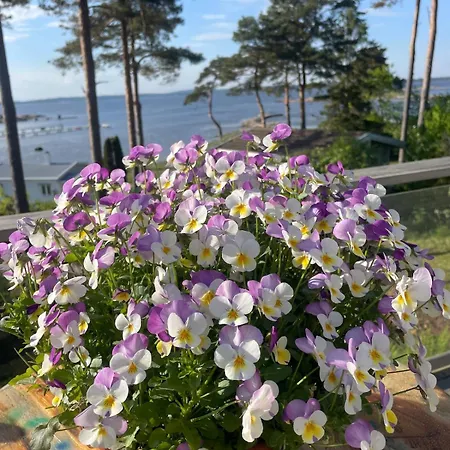 By The Sea With Great Views Casa vacanze Fredrikstad